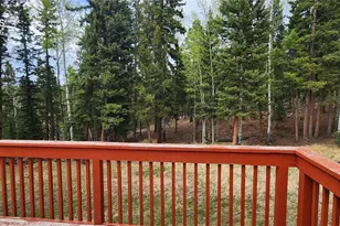 419 Donzi Trail, Florissant, CO 80816 - Photo 21