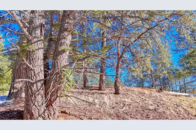 79 Huntsman Circle, Florissant, CO 80816 - Photo 7