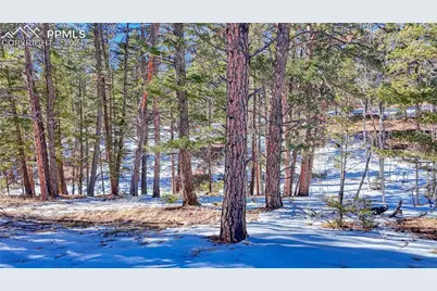 79 Huntsman Circle, Florissant, CO 80816 - Photo 9