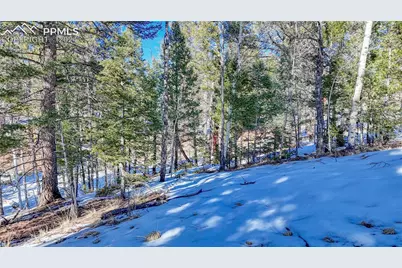 79 Huntsman Circle, Florissant, CO 80816 - Photo 33