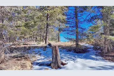 79 Huntsman Circle, Florissant, CO 80816 - Photo 13