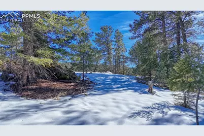 79 Huntsman Circle, Florissant, CO 80816 - Photo 29