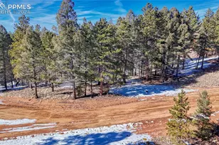 79 Huntsman Cir, Florissant, CO 80816 - Photo 1