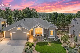 16249 Thunder Cat Wy, Monument, CO 80132 - Photo 1