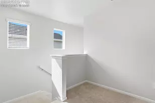 11409 Pikeminnow Pl, Colorado Springs, CO 80925 - Photo 19