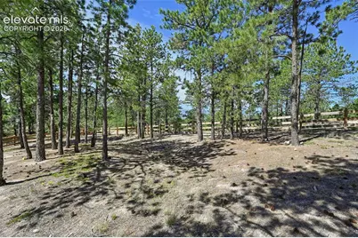16232 Thunder Cat Way, Monument, CO 80132 - Photo 49