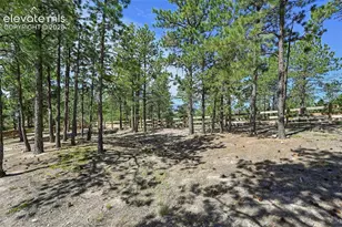 16232 Thunder Cat Wy, Monument, CO 80132 - Photo 49