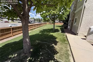 3650 Strawberry Field Grove, Colorado Springs, CO 80906 - Photo 7