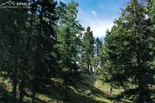 377 Ridge Rd, Divide, CO 80814 - Photo 13