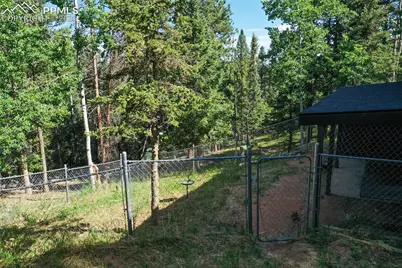 377 Ridge Road, Divide, CO 80814 - Photo 11