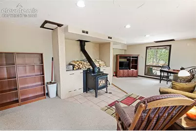 381 Saddleback Creek Drive, Florissant, CO 80816 - Photo 15