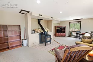 381 Saddleback Creek Dr, Florissant, CO 80816 - Photo 15
