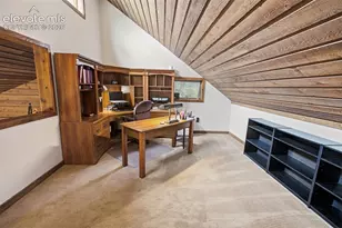 381 Saddleback Creek Dr, Florissant, CO 80816 - Photo 13