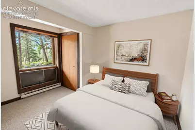 381 Saddleback Creek Drive, Florissant, CO 80816 - Photo 23