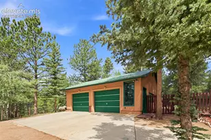 381 Saddleback Creek Dr, Florissant, CO 80816 - Photo 29