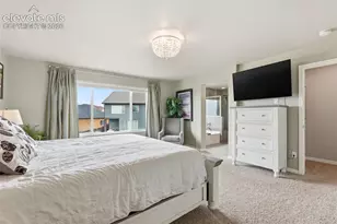 2264 Reed Grass Way, Colorado Springs, CO 80915 - Photo 27