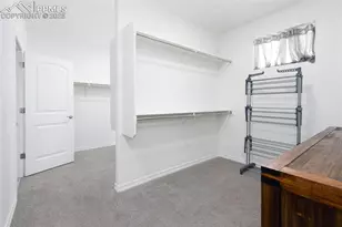 6448 Rolling Creek Dr, Colorado Springs, CO 80924 - Photo 17