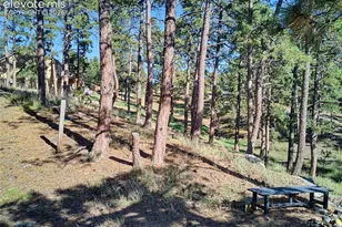 18065 Cumbres Rd, Peyton, CO 80831 - Photo 43