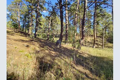 18065 Cumbres Road, Peyton, CO 80831 - Photo 45