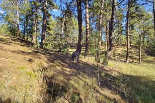 18065 Cumbres Rd, Peyton, CO 80831 - Photo 45