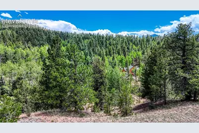 218 Princess Road, Cripple Creek, CO 80813 - Photo 21