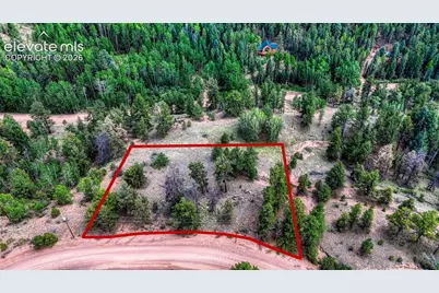 218 Princess Road, Cripple Creek, CO 80813 - Photo 3