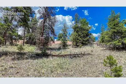 218 Princess Road, Cripple Creek, CO 80813 - Photo 5