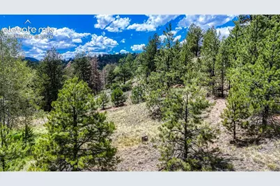 218 Princess Road, Cripple Creek, CO 80813 - Photo 7
