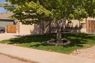 11136 Berry Farm Rd, Fountain, CO 80817 - Photo 3