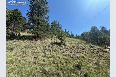 281 Pikes Peak Drive, Divide, CO 80814 - Photo 9