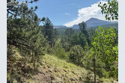 281 Pikes Peak Drive, Divide, CO 80814 - Photo 7