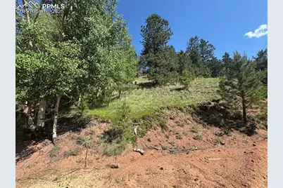 281 Pikes Peak Drive, Divide, CO 80814 - Photo 5