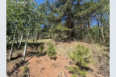 281 Pikes Peak Drive, Divide, CO 80814 - Photo 3