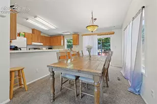7659 Marmot Point, Colorado Springs, CO 80922 - Photo 9