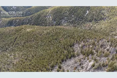 Alps Mountain Road, Idaho Springs, CO 80452 - Photo 5