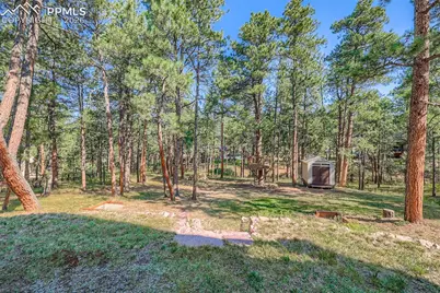3550 Conecrest Lane, Colorado Springs, CO 80908 - Photo 37