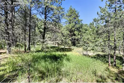 18400 Black Squirrel Road, Colorado Springs, CO 80908 - Photo 11