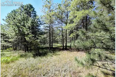 18400 Black Squirrel Road, Colorado Springs, CO 80908 - Photo 9