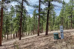 453 Black Fawn Ln, Westcliffe, CO 81252 - Photo 27