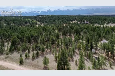 453 Black Fawn Lane, Westcliffe, CO 81252 - Photo 33