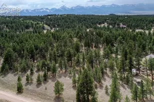 453 Black Fawn Ln, Westcliffe, CO 81252 - Photo 33