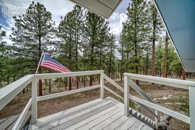 453 Black Fawn Lane, Westcliffe, CO 81252 - Photo 29