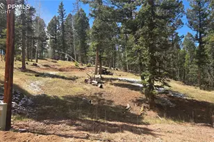 151 Mt Elbert Rd, Florissant, CO 80816 - Photo 1