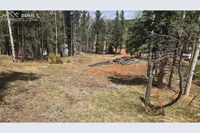 151 Mt Elbert Road, Florissant, CO 80816 - Photo 3