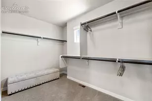 6926 Knapp Dr, Colorado Springs, CO 80924 - Photo 3