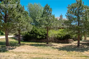 19558 Fox Trail Way, Monument, CO 80132 - Photo 43