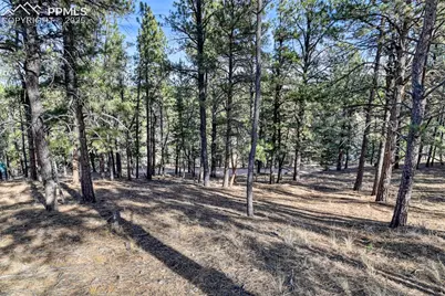 281 Mesa Drive, Florissant, CO 80816 - Photo 13