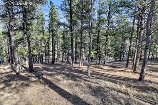 281 Mesa Dr, Florissant, CO 80816 - Photo 13