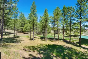 5463 High Park Rd, Florissant, CO 80816 - Photo 33