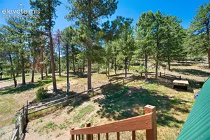 5463 High Park Rd, Florissant, CO 80816 - Photo 29